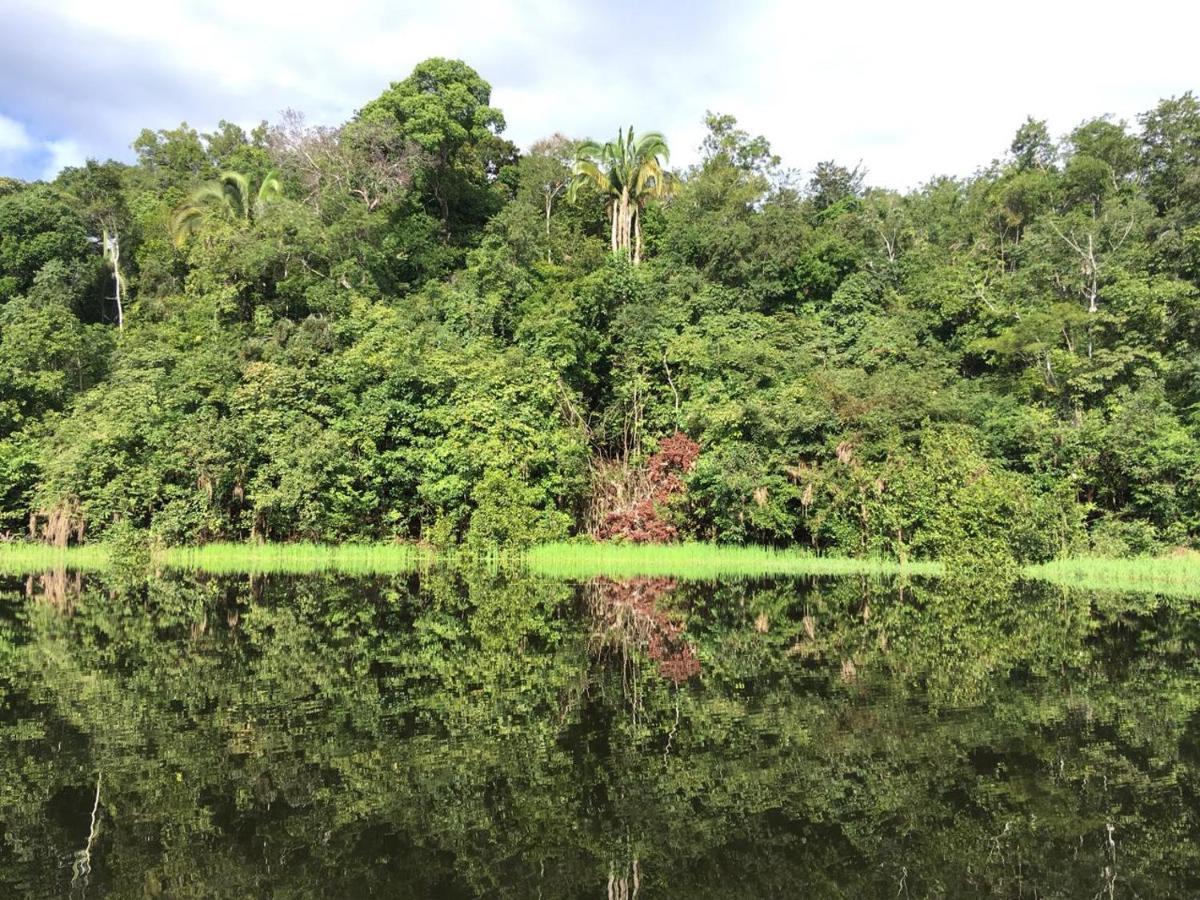 Amazon Arowana Lodge Careiro Kültér fotó