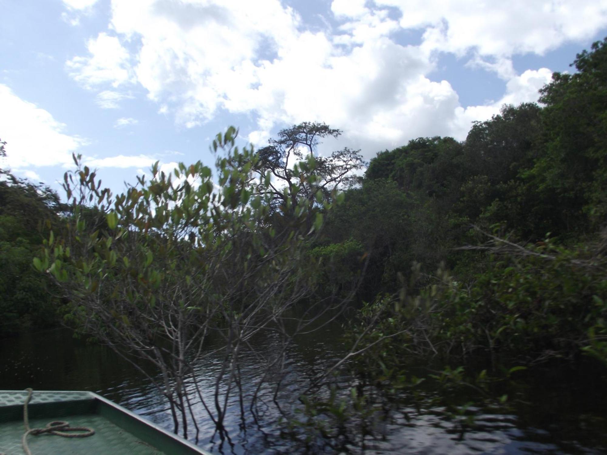 Amazon Arowana Lodge Careiro Kültér fotó